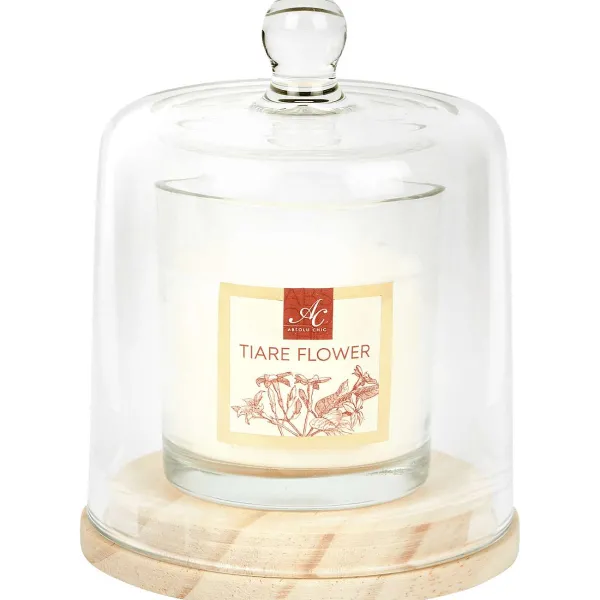 Candra Absolu Chic Geurkaars In Stolp New