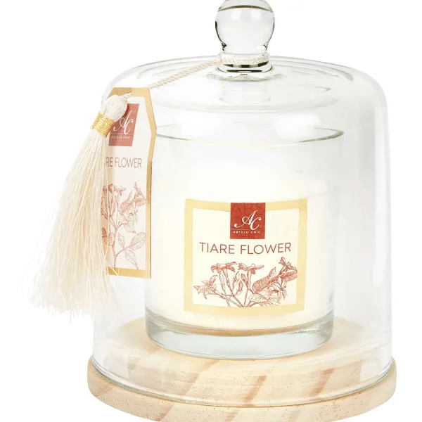 Candra Absolu Chic Geurkaars In Stolp New