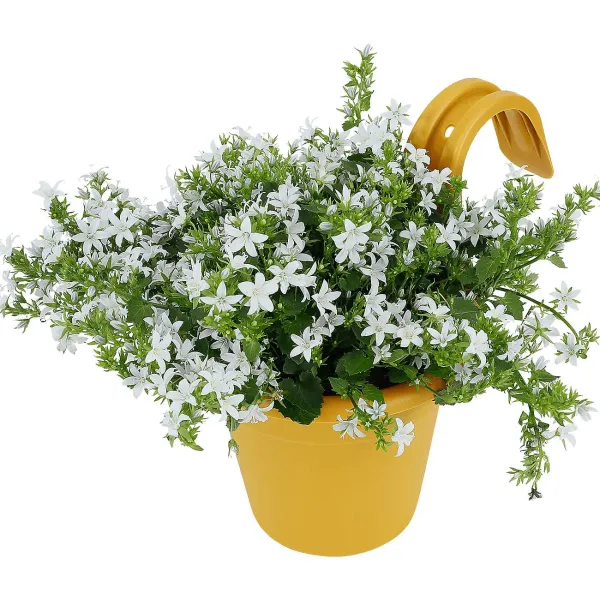 Merk Balkonbloempot Beige,Groen,Geel New