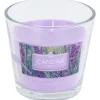Candra Geurkaars In Glas Paars,Roze Discount