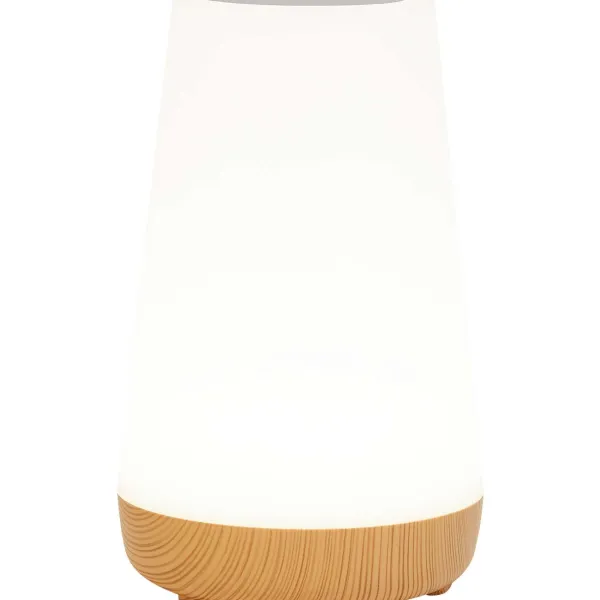 LSC Smart Connect Deluxa Touch Lamp Outlet
