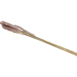 Green Boots Droogboeket Beige,Blauw,Bruin,Roze,Paars