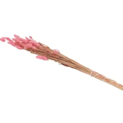 Green Boots Droogboeket Beige,Blauw,Bruin,Roze,Paars