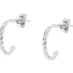 Merk En Oorbellen Zilver