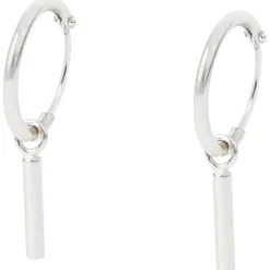 Merk En Oorbellen Zilver