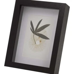 Merk Fotolijst Met Passepartout Bruin,Zwart Sale