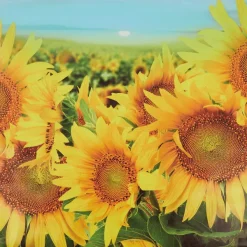 Merk Garden Collection Tuindoek Print Best