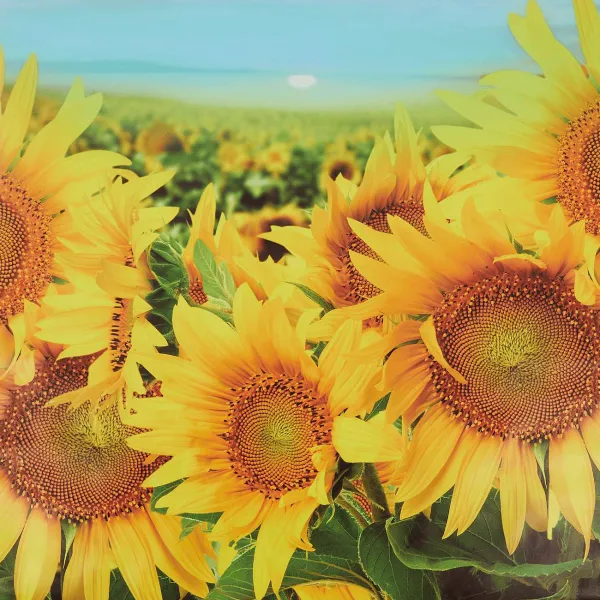 Merk Garden Collection Tuindoek Print Best