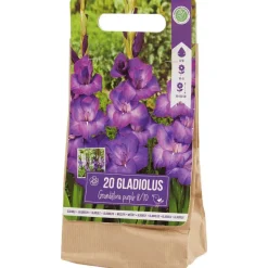 Green Boots Gladiolen Bloembollen Outlet