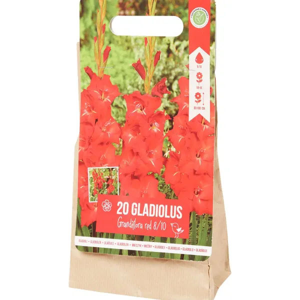 Green Boots Gladiolen Bloembollen Outlet