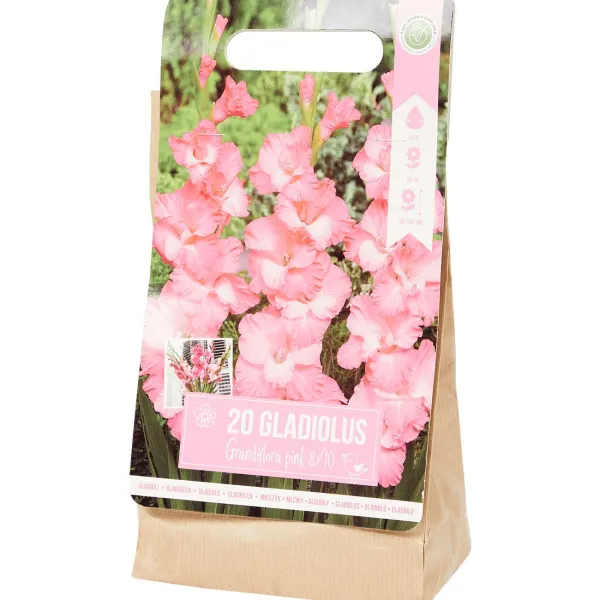 Green Boots Gladiolen Bloembollen Outlet