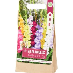 Green Boots Gladiolen Bloembollen Outlet