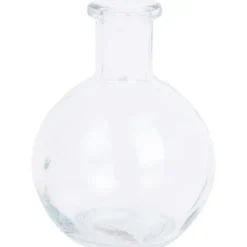 Merk Glazen Vaasje Voor Stekjes Transparant Online