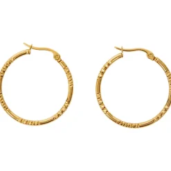 Merk Gold Plated Oorbellen Goud Sale