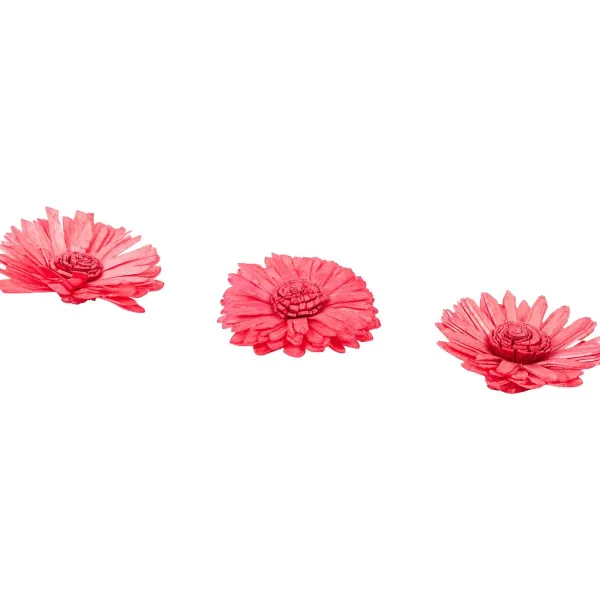 Merk Home Accents Bloemen Decoratie Oranje,Roze,Wit,Geel Sale