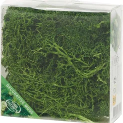 Merk Home Accents Decoratief Mos Groen Best