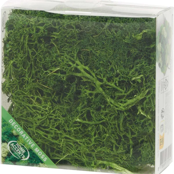 Merk Home Accents Decoratief Mos Groen Best