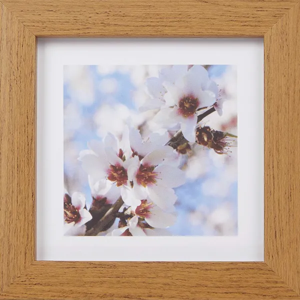 Merk Home Accents Fotolijst Bruin Online