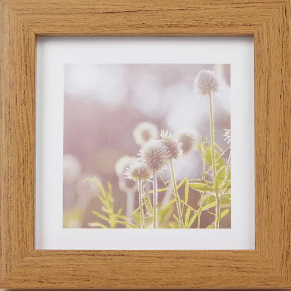 Merk Home Accents Fotolijst Bruin Online