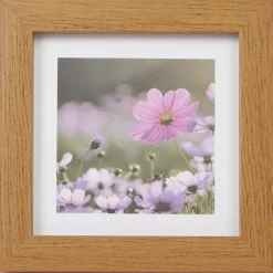 Merk Home Accents Fotolijst Bruin Online