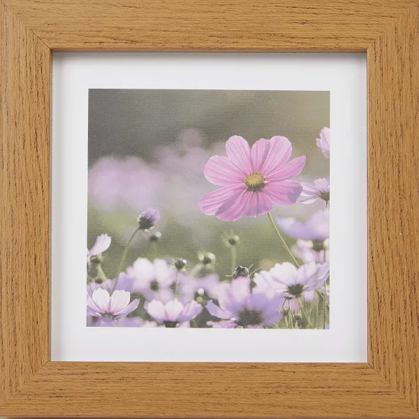 Merk Home Accents Fotolijst Bruin Online