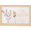 Merk Home Accents Fotolijst Met Droogbloemen Beige New