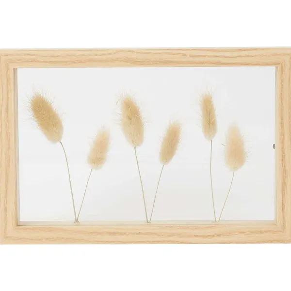 Merk Home Accents Fotolijst Met Droogbloemen Beige New