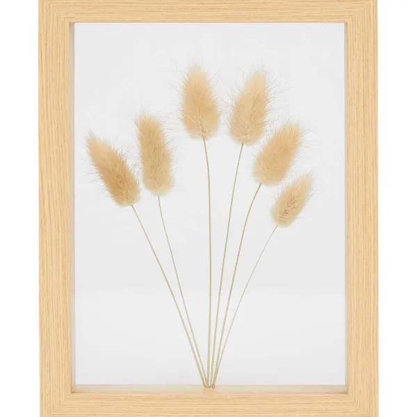 Merk Home Accents Fotolijst Met Droogbloemen Beige,Meerkleurig Best