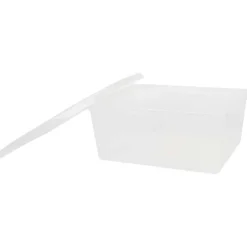 Iris Opbergbox Transparant Best