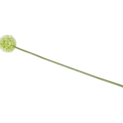 Merk Kunstallium Op Steel Paars,Rood,Roze,Wit Outlet