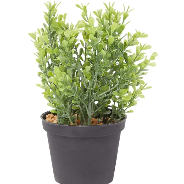 Merk Kunstkruidenplant Clearance