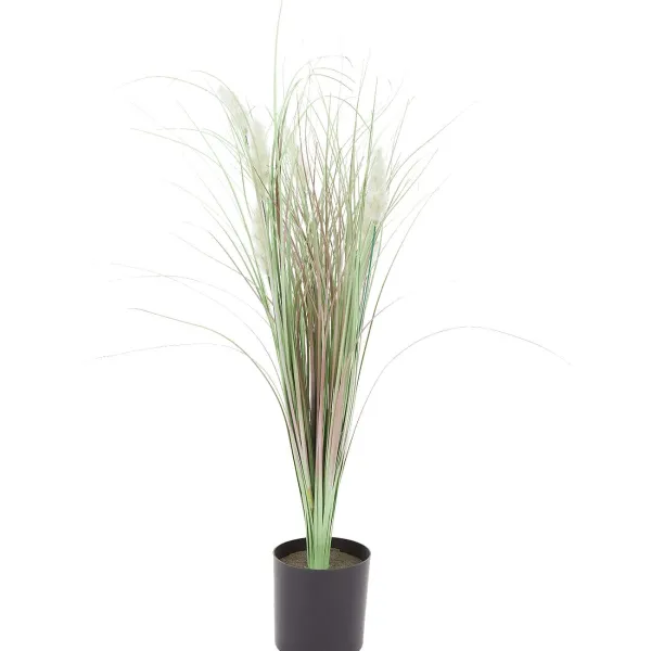 Merk Kunstlampenpoetsersgrasplant In Pot Rood,Wit Online