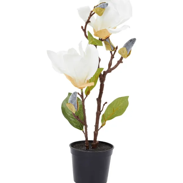 Merk Kunstmagnolia In Pot Roze,Wit Hot