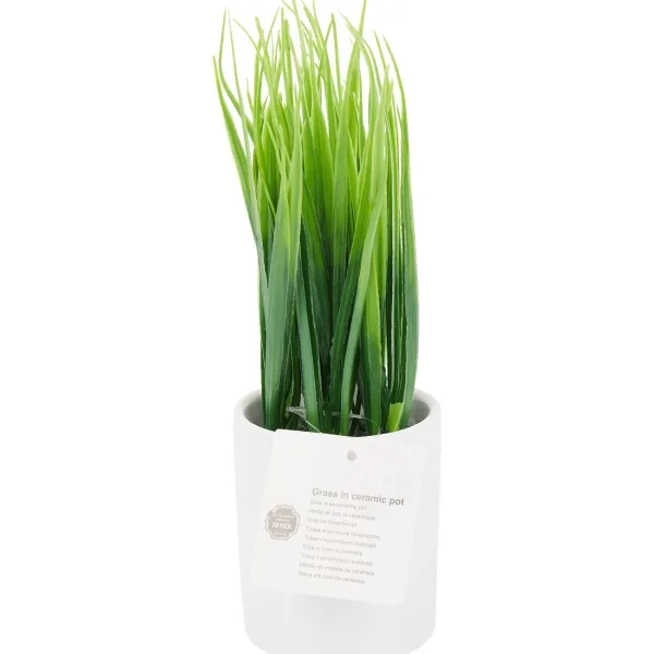 Merk Kunstplant In Pot Grijs,Wit Outlet