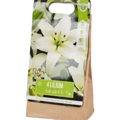 Green Boots Lelie Bloembollen Rood