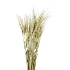 Merk Nederlandse Droog Kunstbloemen Best