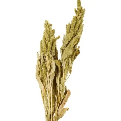 Merk Nederlandse Droog Kunstbloemen Best