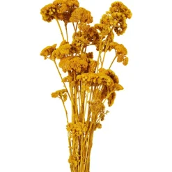 Merk Nederlandse Droog Kunstbloemen Best