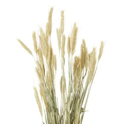 Merk Nederlandse Droog Kunstbloemen Best