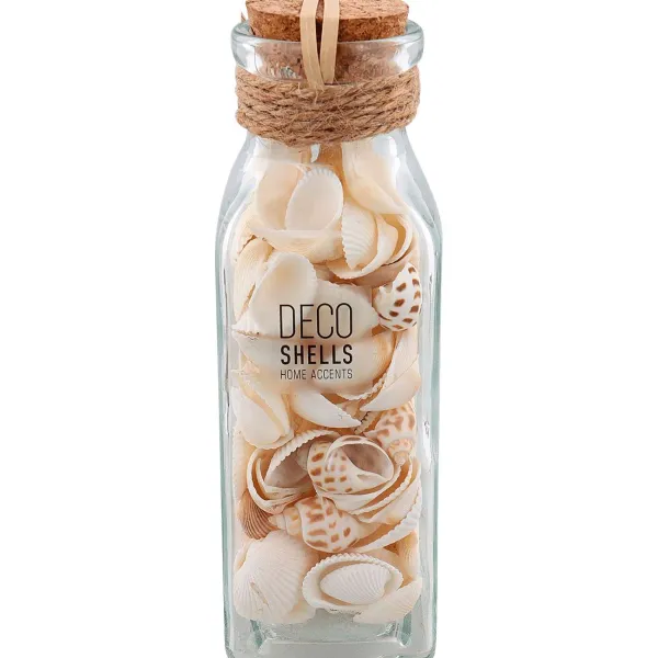 Merk Schelpen In Glazen Fles Meerkleurig New
