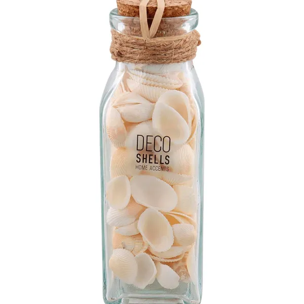 Merk Schelpen In Glazen Fles Meerkleurig New
