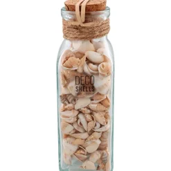 Merk Schelpen In Glazen Fles Meerkleurig New