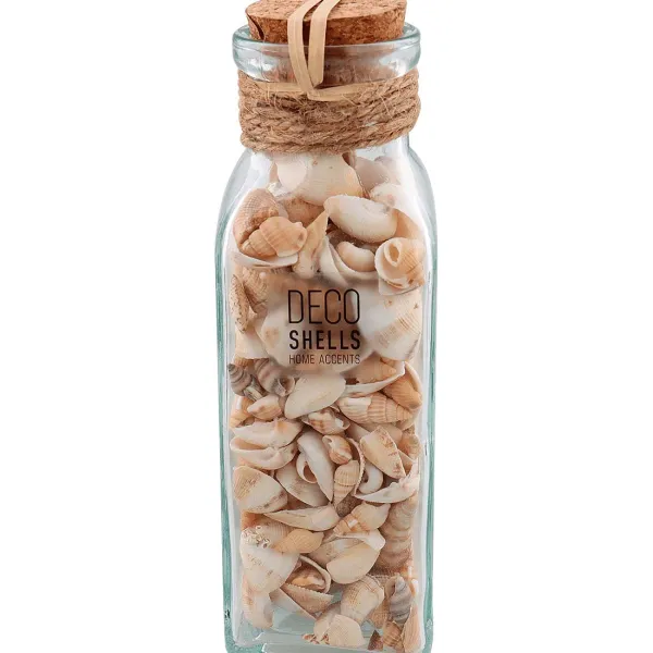 Merk Schelpen In Glazen Fles Meerkleurig New