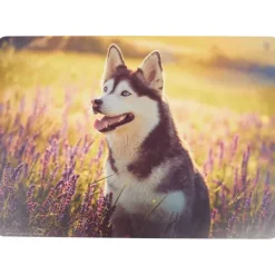 Royal Talens Teken- En Knutselplacemat Print New