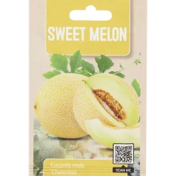 Green Boots Zaden Geen Kleur Best